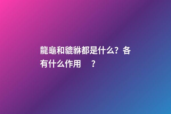 龍龜和貔貅都是什么？各有什么作用？